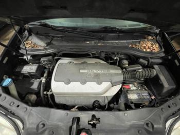 2005 acura mdx with 229619 miles for sale near elk-river, minnesota ceb4c082ba5b4120b8eb0c4654964122.jpg