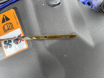 2014 ford focus st-hatch with 145434 miles for sale near rochester, minnesota cf24fd8934d14264b20a304a9bcc17f1.jpeg