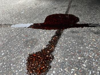 2005 chevrolet classic fleet with 133386 miles for sale near elk-river, minnesota d29479e2289f4886a0a39b1108fa775b.jpeg