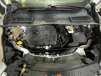 2017 ford escape se with 55868 miles for sale near elk-river, minnesota d29c660366b34f26a7ae76ea515b0fe3.jpg