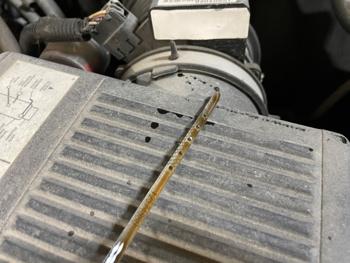 2003 chevrolet silverado-1500 ext.-cab-short-bed-4wd with 108914 miles for sale near elk-river, minnesota d2a67128211e43d4b8841d2e783878c2.jpeg