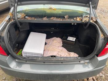 2008 chevrolet malibu-classic lt2 for sale near elk-river, minnesota d7a7646bc12f428d808cfd1cc1e14745.jpeg