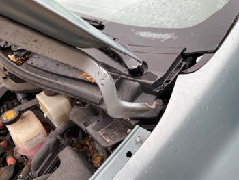 2013 toyota prius prius-iv with 191685 miles for sale near elk-river, minnesota d7bed367d567436ea5e68ba976978f54.jpeg