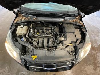 2012 ford focus titanium with 153023 miles for sale near elk-river, minnesota d7cc6a70ba8d467381aaab541242dd30.jpeg
