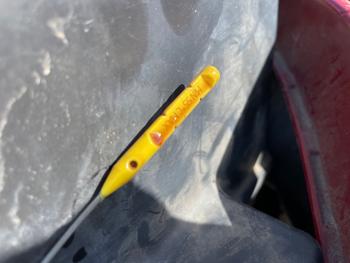 2004 ford focus se with 120483 miles for sale near elk-river, minnesota d7f2e186e3b94a54aad796cf3bbdf946.jpeg