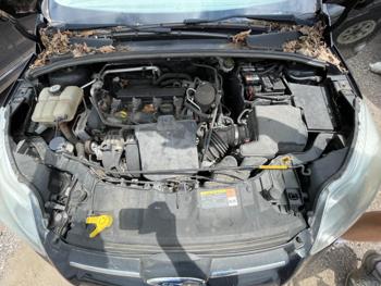 2013 Ford Focus