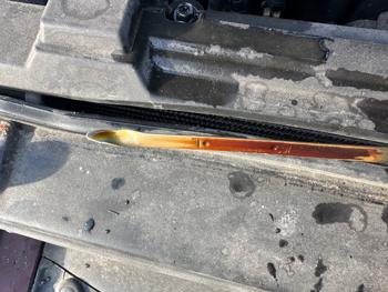 2009 hyundai sonata gls with 216190 miles for sale near elk-river, minnesota d9e6d524590549cdbf47cbd51c274539.jpeg