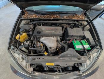 2003 toyota camry le with 157175 miles for sale near elk-river, minnesota dc77a91707e24041b852abfb7c160bd3.jpg