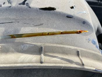 2009 hyundai sonata gls with 234812 miles for sale near elk-river, minnesota dcbd375dd7794eec8765e5fea4db2090.jpeg