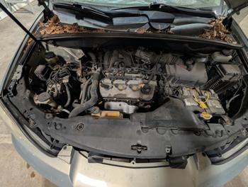 2004 lexus rx-330 2wd with 194148 miles for sale near elk-river, minnesota de16b5444ec2496288e079eaa7f5b6a4.jpg