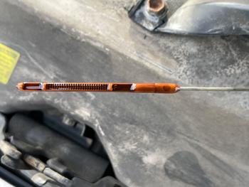 2005 toyota camry with 296470 miles for sale near elk-river, minnesota dfa0006b902d4589a1467c21ce2c5017.jpeg