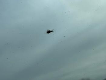 2010 dodge grand-caravan sxt with 182825 miles for sale near elk-river, minnesota e6bc53e7ba9647a59b2f0bd977e030ac.jpeg