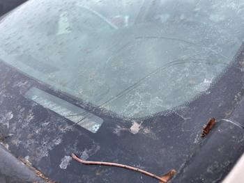 2005 honda pilot ex-w--leather with 246440 miles for sale near elk-river, minnesota e76c1e758c4e4c63a2f44cb8edfe7961.jpeg