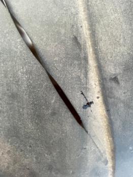 2015 gmc yukon-denali 4wd with 149975 miles for sale near elk-river, minnesota e941049730ee4cf5b43b2c4669222fa4.jpeg