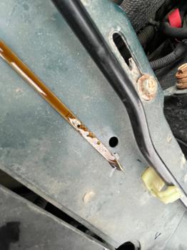 2000 chevrolet malibu base with 131558 miles for sale near elk-river, minnesota ea8a8086bb0c45adbd000dcad8e9294d.jpeg