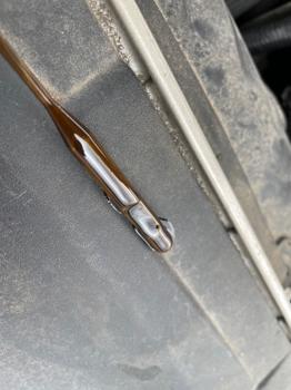 2019 ford fusion se with 170687 miles for sale near rice, minnesota eac1ea968ac040a8a8d1dea31817552d.jpeg