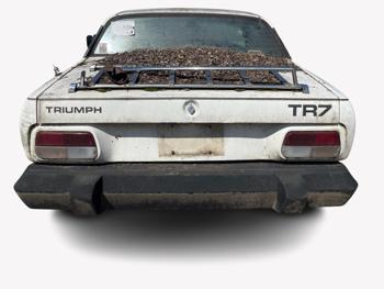 1979 Triumph TR7