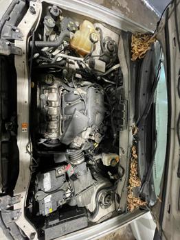 2006 ford escape xlt with 166934 miles for sale near elk-river, minnesota eda549baae5e4f4caedde62dedcebb5a.jpg