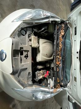 2016 nissan leaf sv with 38610 miles for sale near elk-river, minnesota ee0dafdd81fb4eee8050148c0d8510fd.jpeg