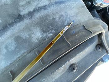 2010 hyundai sonata gls with 144872 miles for sale near elk-river, minnesota ee3e317384a74325910183c4135bdf35.jpeg