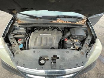 2006 honda odyssey ex-l with 262690 miles for sale near elk-river, minnesota ef845cd39b0d49c1a4f469a18720d0cb.jpeg