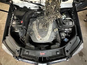 2011 mercedes-benz glk-class glk350-4matic with 132238 miles for sale near elk-river, minnesota f2b0af03f49548bf8ed90af005eafe15.jpeg