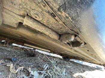 2006 mercedes-benz c-class c280-luxury-sedan with 135335 miles for sale near elk-river, minnesota f2e4d9ef5bc2476091fbfdf65ef63b83.jpeg