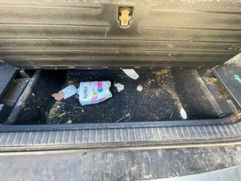 2008 toyota rav4 base-i4-4wd with 259343 miles for sale near elk-river, minnesota f31b0e96dabc43ec8b977c6e79b5b6ba.jpeg