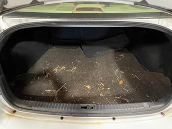 2009 hyundai sonata limited with 198144 miles for sale near elk-river, minnesota f3aa364c5a9a4ec19720a8a2ac047205.jpg