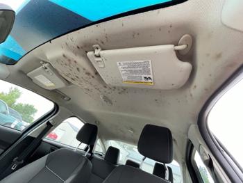 2014 ford focus s-sedan with 133609 miles for sale near elk-river, minnesota f48ab627001a45cdb92b6cf814e9f13a.jpeg