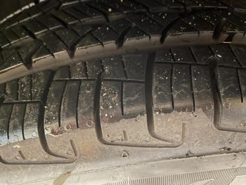 2005 honda cr-v edition with 143839 miles for sale near elk-river, minnesota f630f79e30494127a1ae050efa88378b.jpg
