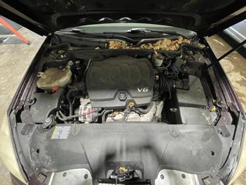 2009 buick lucerne cxl with 122772 miles for sale near elk-river, minnesota f6a0883d39744cb2bd5bb338b3de1c47.jpg