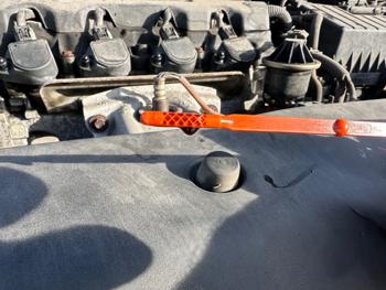 2009 honda civic lx-sedan-5-speed-at with 123359 miles for sale near elk-river, minnesota f93cad4ddf7247669b98274863c41e64.jpeg