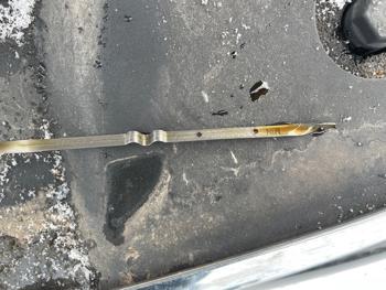 2009 ford focus sel-sedan with 193577 miles for sale near elk-river, minnesota fb507dbf5b214958b2c1e421acaad779.jpeg