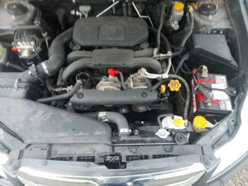 2012 subaru outback 2.5i-premium with 204740 miles for sale near elk-river, minnesota fbbeade150124c92851cbc4a6be4671c.jpg