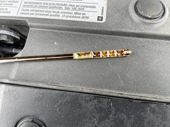 2016 chevrolet cruze-limited 2lt-auto with 120655 miles for sale near alexandria, minnesota fe3a7cd195234582abc55dc34b5879c5.jpeg