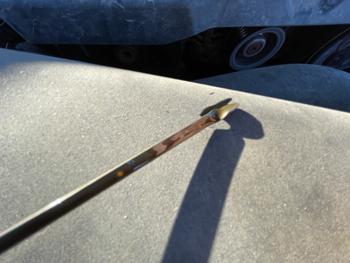 2011 subaru forester 2.5x-touring with 186263 miles for sale near elk-river, minnesota ff42c803505f4ed890014bd43a64a2c2.jpeg