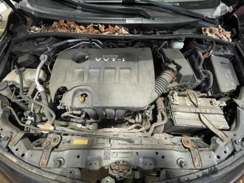 2009 toyota corolla le with 123409 miles for sale near elk-river, minnesota ff6426161a6241788fed71a9fa104ae0.jpg