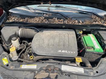 2012 dodge grand-caravan sxt with 167595 miles for sale near elk-river, minnesota ffce116283ab4699aa1d5cf0932fa771.jpeg